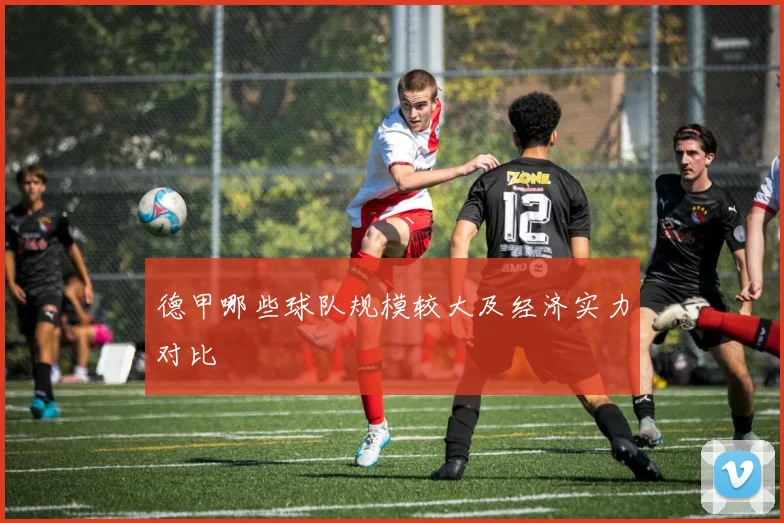 德甲哪些球队规模较大及经济实力对比