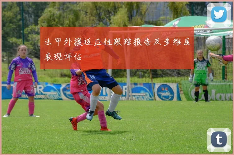 法甲外援适应性跟踪报告及多维度表现评估