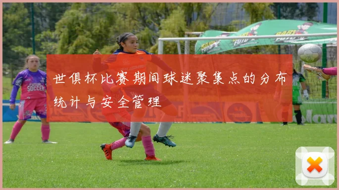 世俱杯比赛期间球迷聚集点的分布统计与安全管理