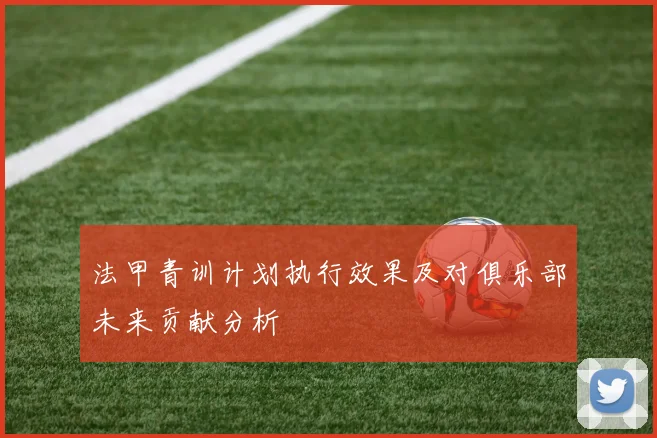 法甲青训计划执行效果及对俱乐部未来贡献分析